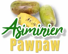 <img src="..." alt="Popularité croissante des pawpaws depuis 2010 en Europe et réseaux sociaux">